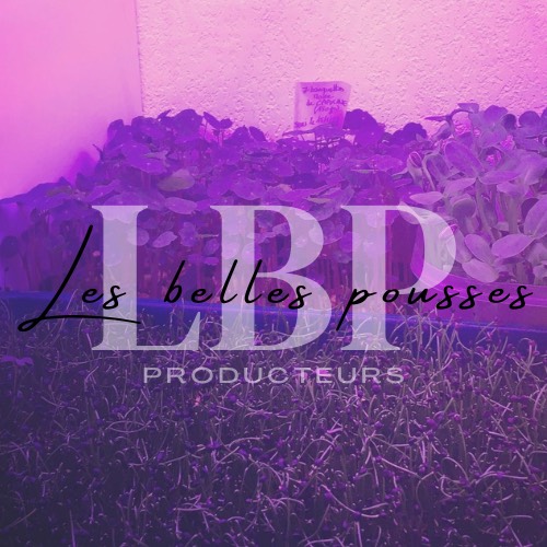 Logo LES BELLES POUSSES
